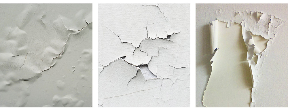 https://www.cnforestcoating.com/wall-paint/